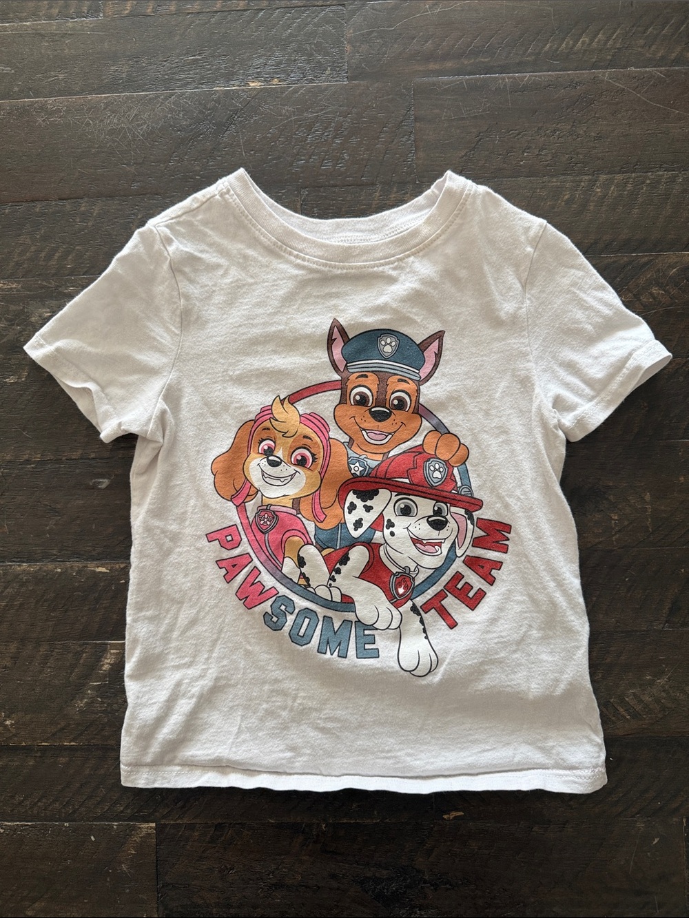 PAW Patrol Pawsome Team White Short Sleeve Graphic Tee